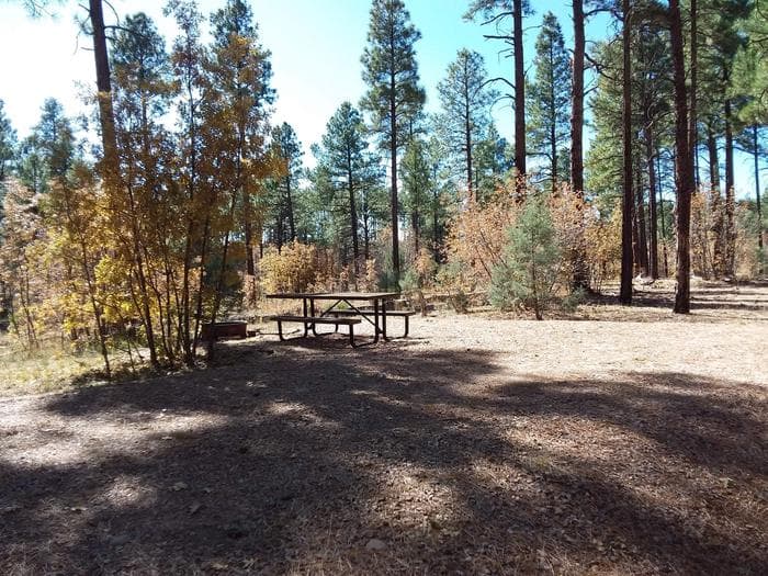 Site 4 in Lewis Canyon.