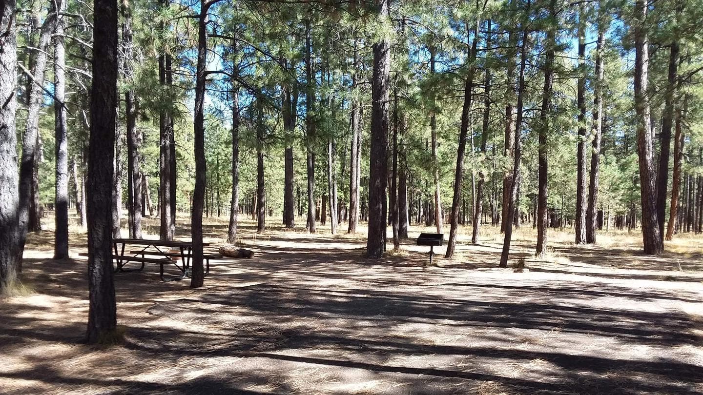 CANYON POINT Campsite