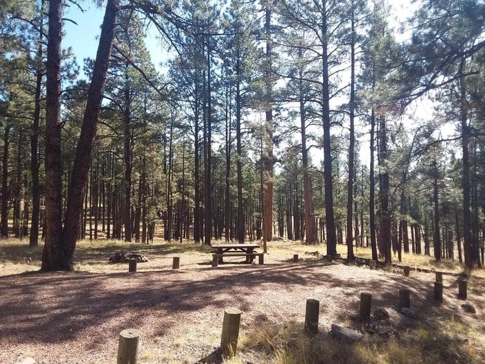 Apache-Sitgreaves National Forest