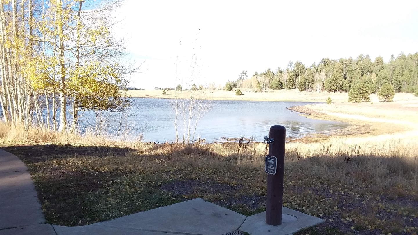 View of Big Lake at Grayling Campground, Apache-Sitgreaves National Forest