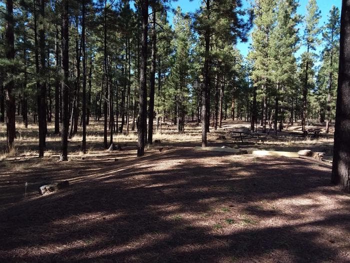 HOYER Campground Shaded Standard Site