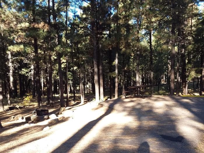 SINKHOLE Campground Standard Site