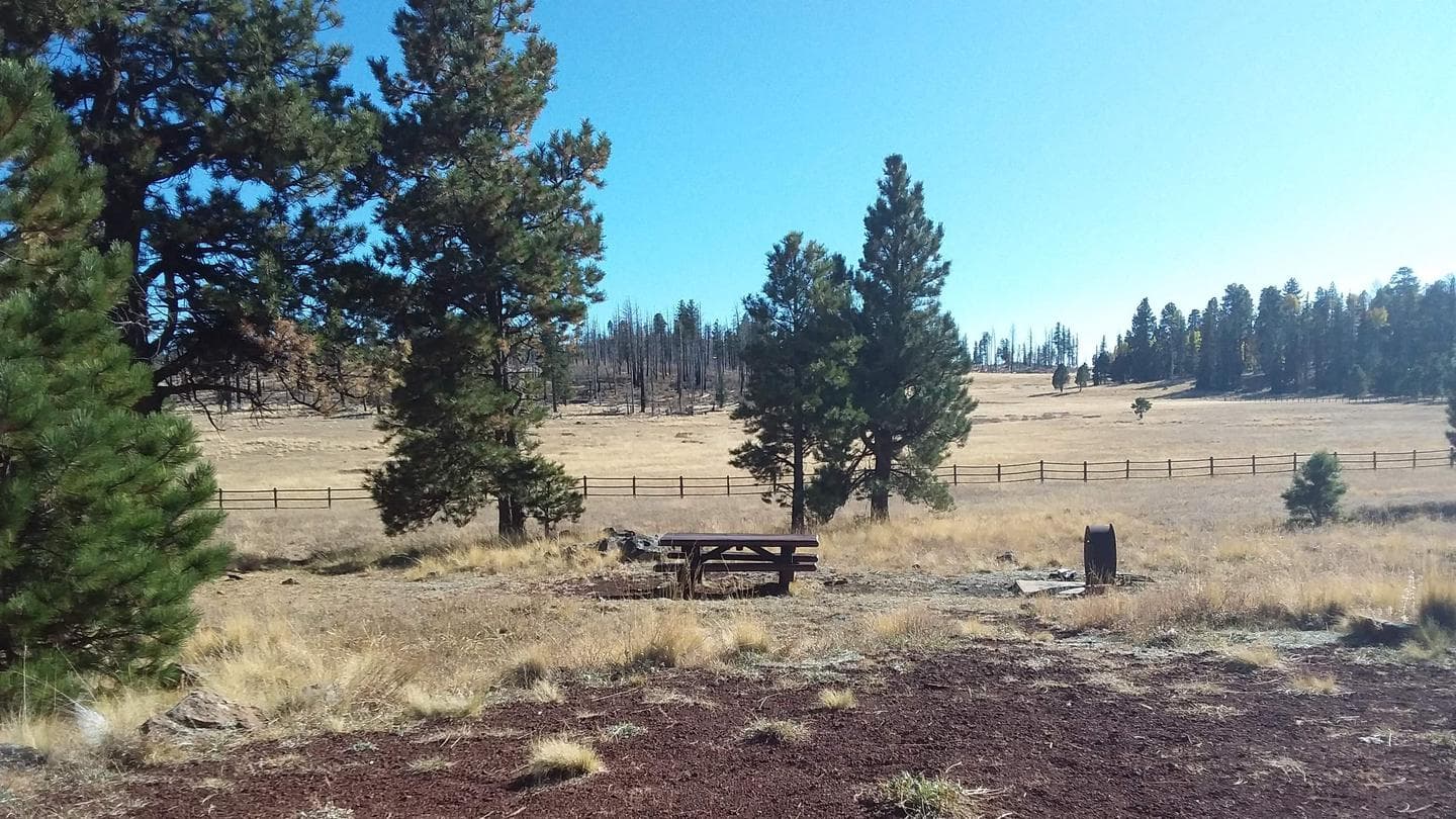 WINN Campground Site 49