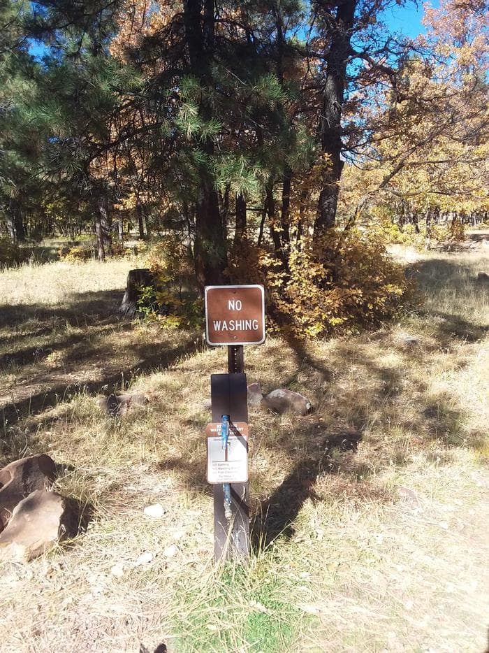 Aspen water pump next to trees.