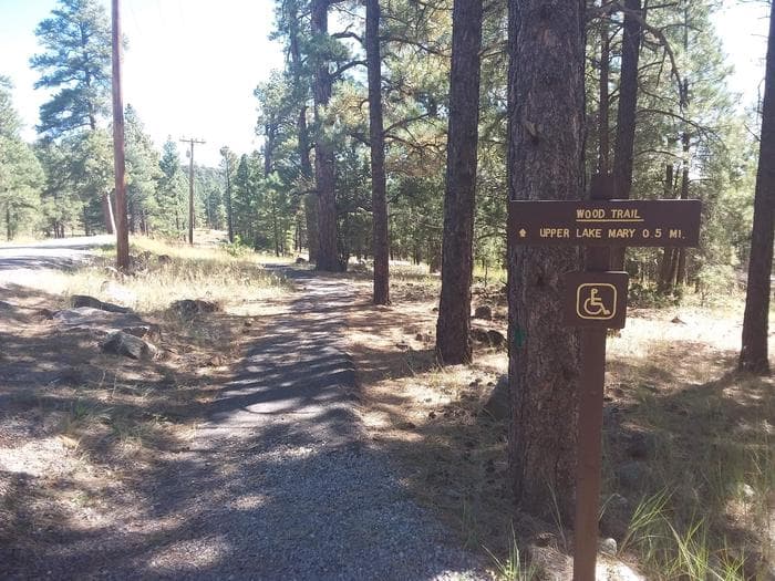 Wood trail to upper lake view with a path and trees