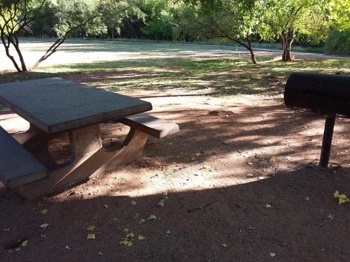 Shaded picnic table and grill.