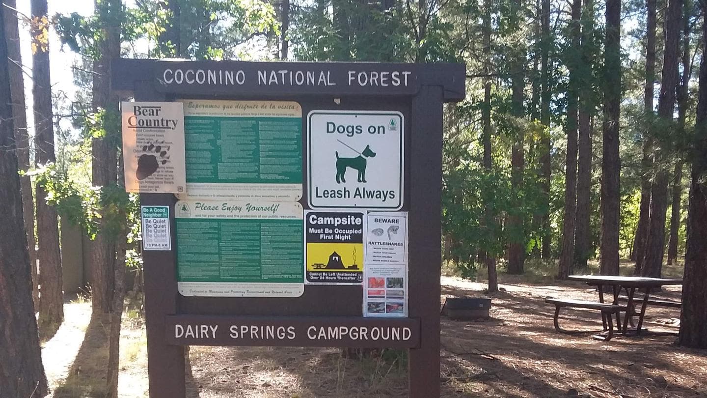 Dairy Springs campground at Coconino National Forest Recreation, Arizona