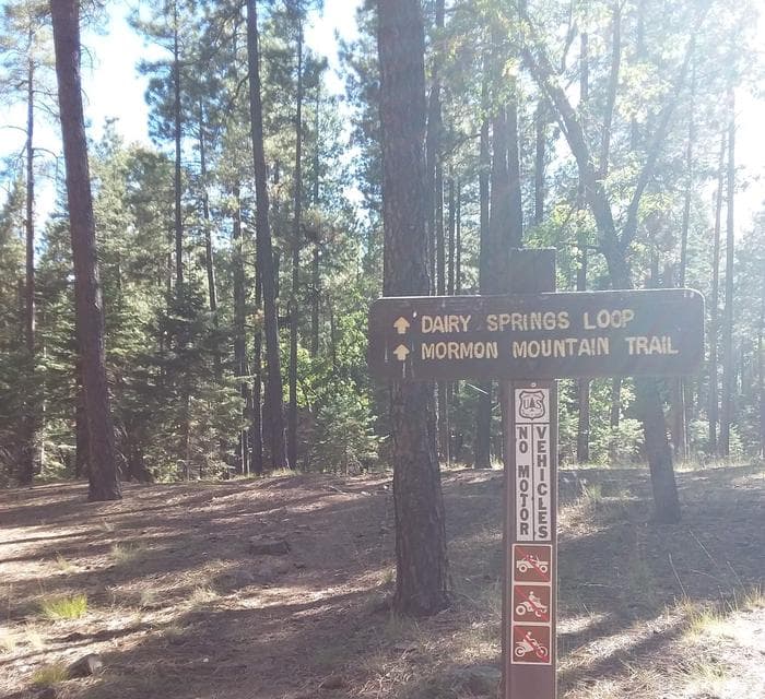 Trailhead sign.