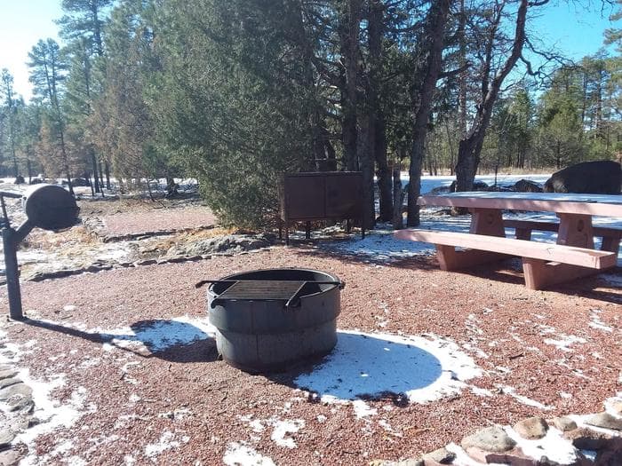 Rock Crossing Campground Site 29: shows site with a table, fire pit, standing grill, and waste canister