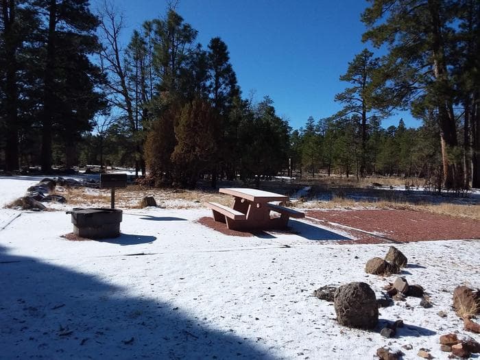 Rock Crossing Campground Site 04: shows tent pad near table, fire pit, and standing grill