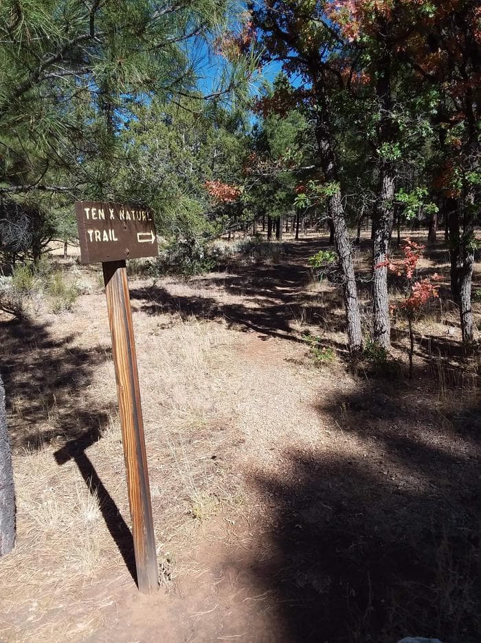 TEN-X Campground Nature Trail Sign