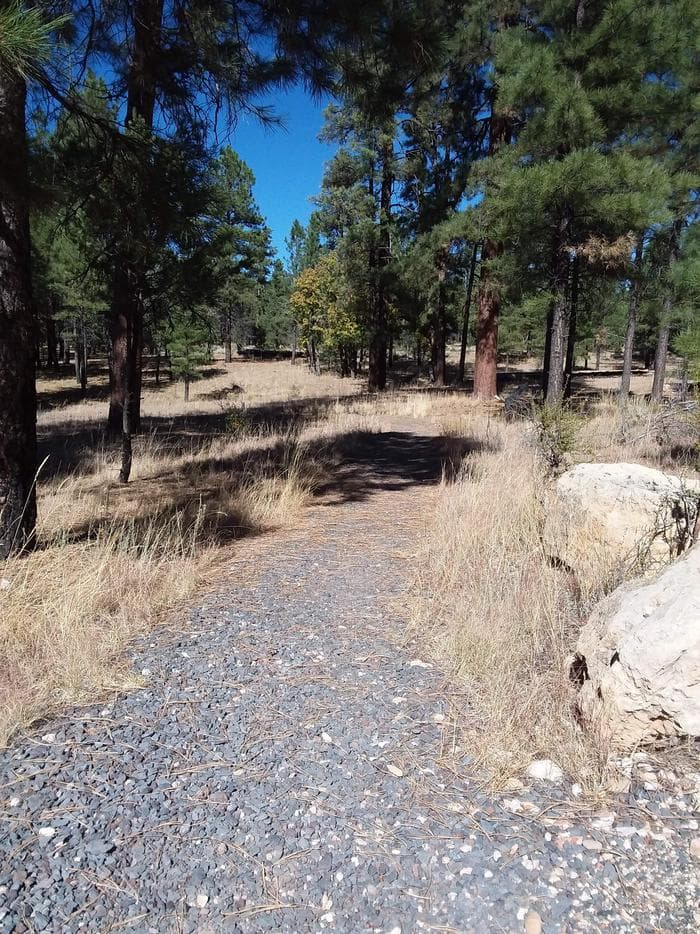 TEN-X Campground Nature Trail