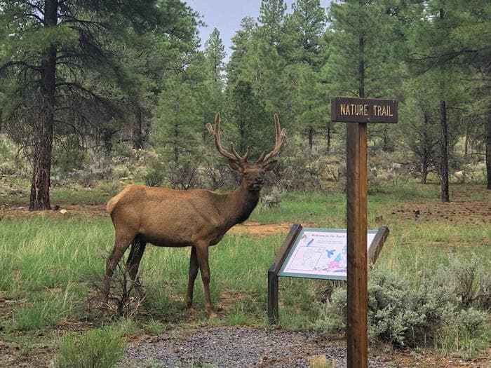 TEN-X Campground Wildlife Nature Trail