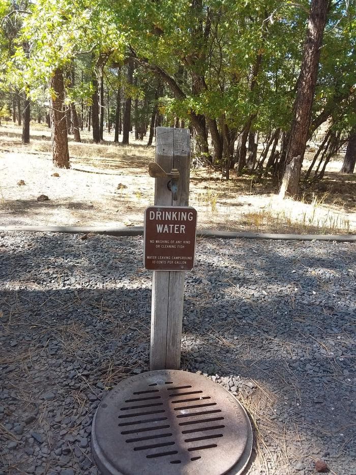 Drinking Water-Spout