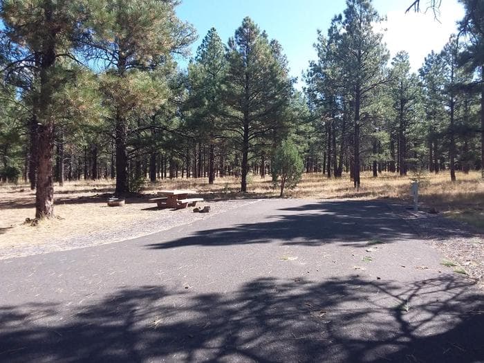 Kaibab Lake Campground Host Site