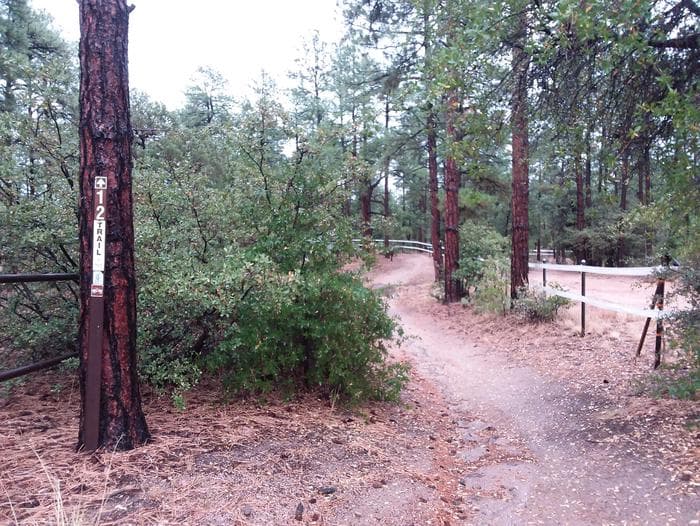 ALTO PIT Trail and greenery