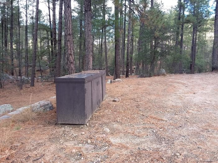 Turney Gulch Campground Trash Collection