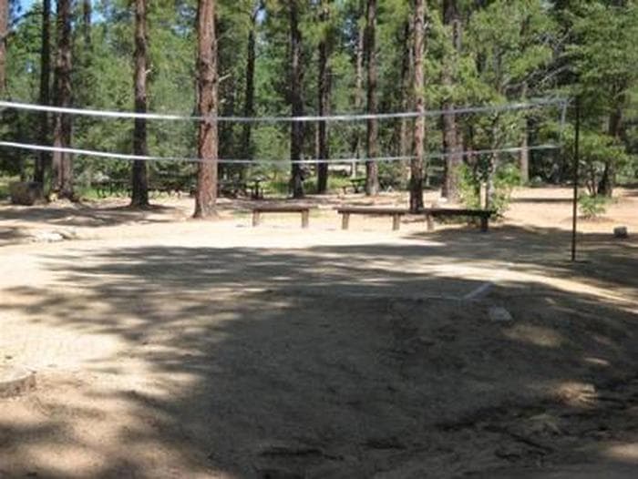 Upper Wolf Group Campsite Volleyball Court with Audience Benches