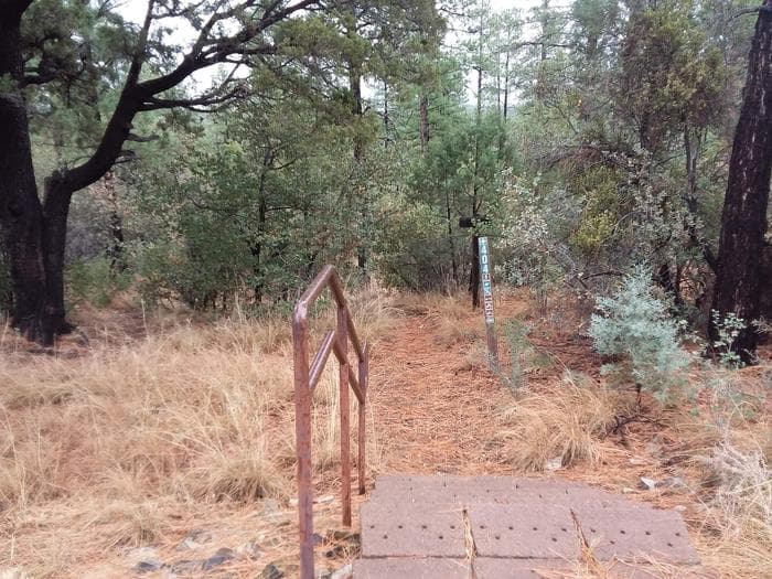 Lynx Campground Trail Head 2