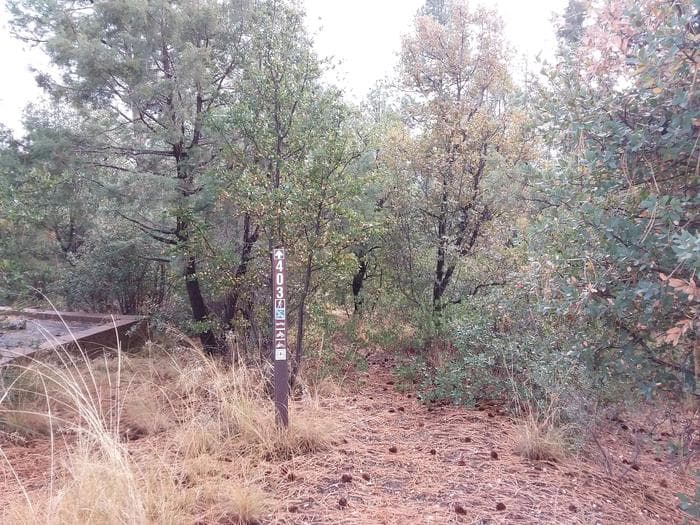 Lynx Campground Loop F Trail Head