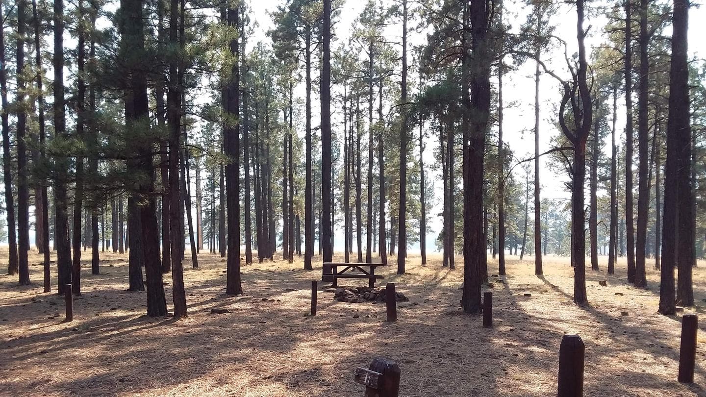 Benny Creek Group Area campground at Apache-Sitgreaves National Forest, Arizona