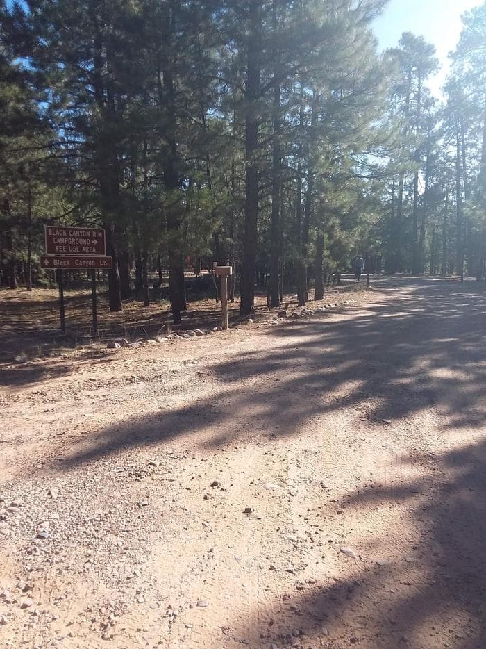 Black Canyon Rim Campground Sign and Gate Entrance