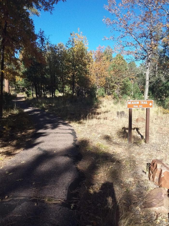 Crook Campground Meadow Trail Head