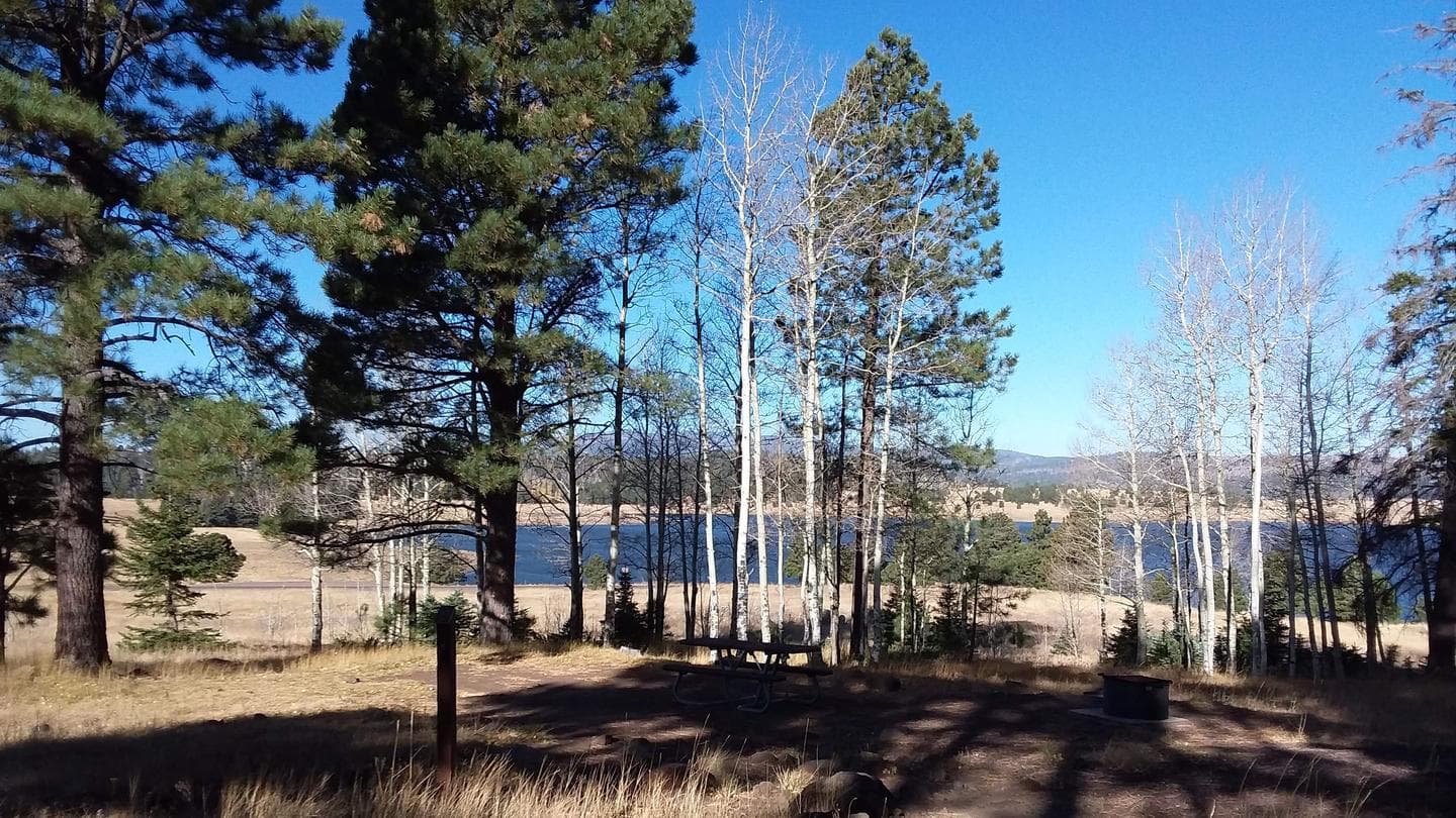 Cutthroat Campground Site