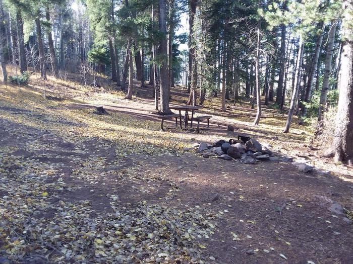 Cutthroat Campground Site 009