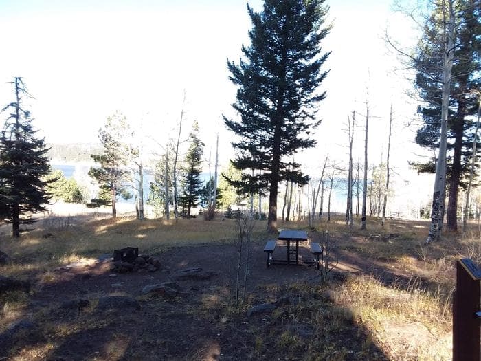 Cutthroat Campground Site 14
