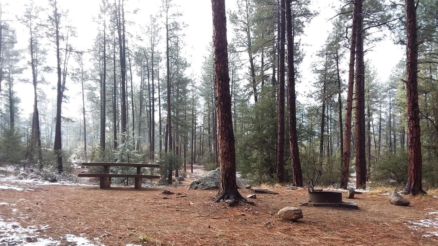 White Spar Campsite on a Misty Morning