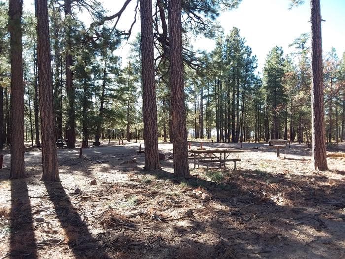 Gentry Group Campground Site 004