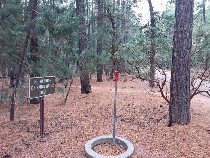 Ponderosa (AZ) Water Source