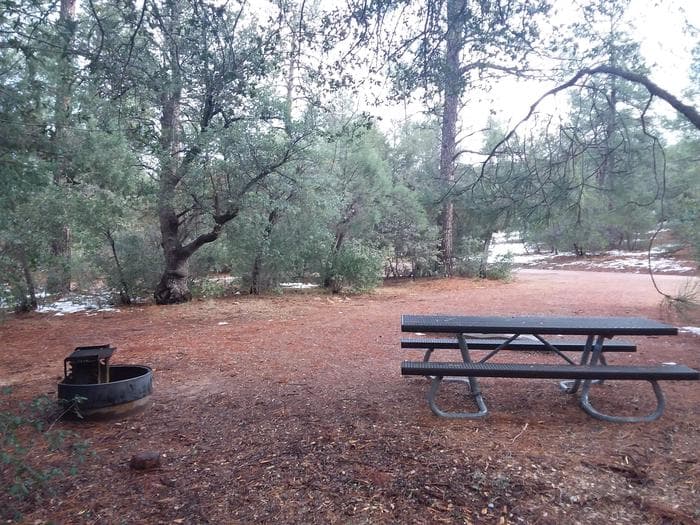 Timber Camp Rec. Area And Group CG: Campsite 14