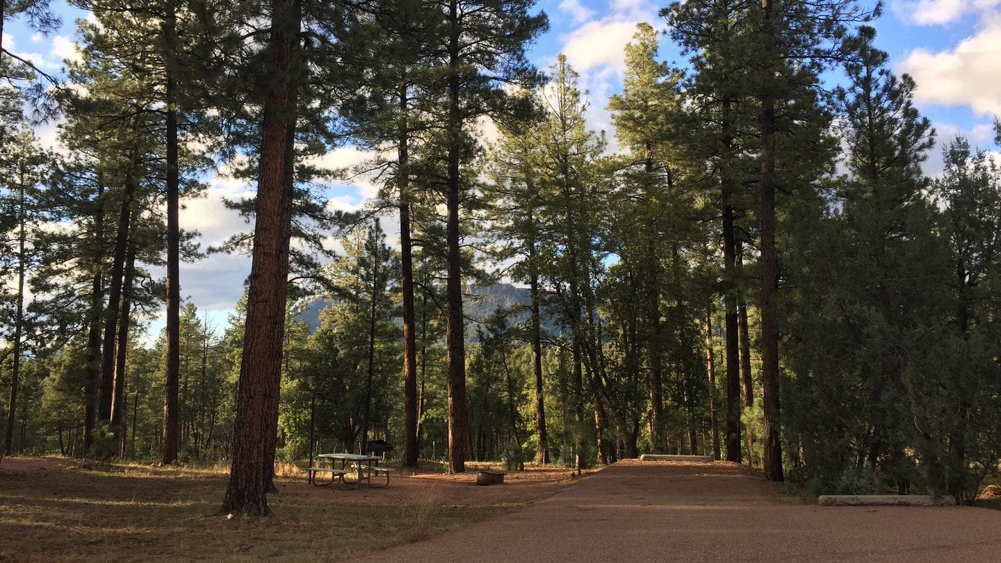 Sharp Creek campground at Tonto National Forest, Arizona