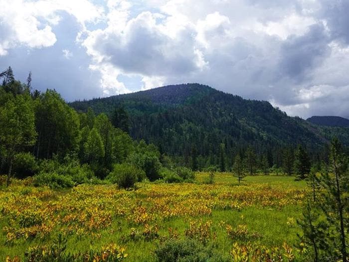 Ledgefork Guard Station