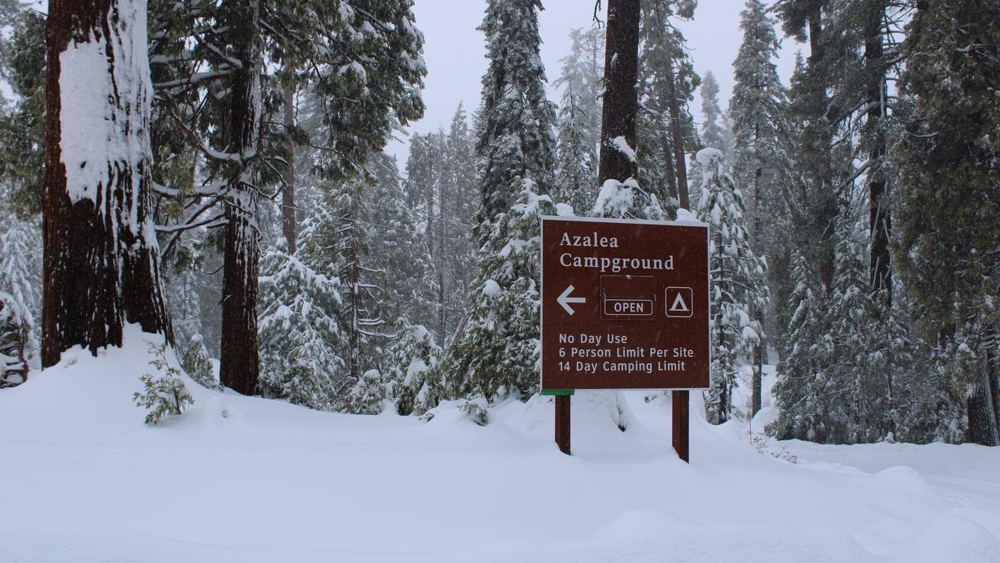 Azalea Campground Entrance