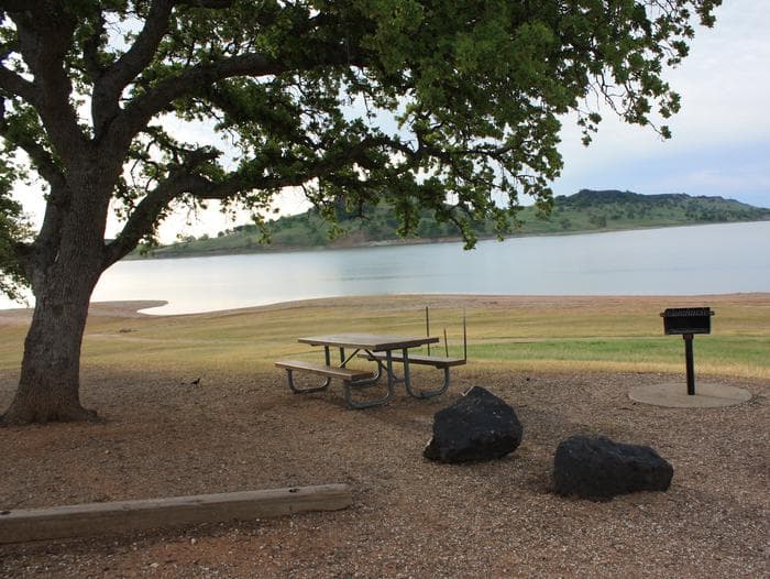 Day use area picnic site with table and barbecue pedestal.