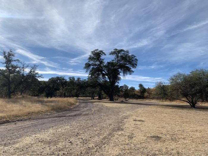 The gravel and dirt road entering the campsite.