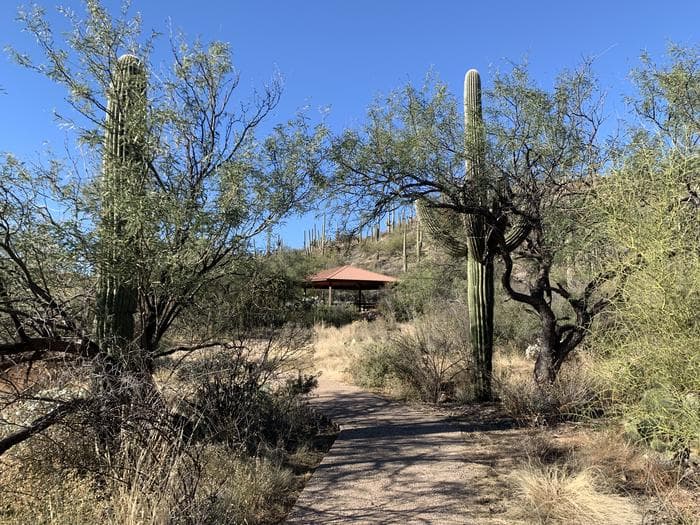 paved path to ramada 2, framed by desert plants