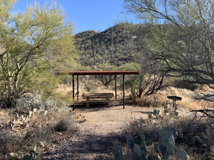 single covered picnic table with grill
