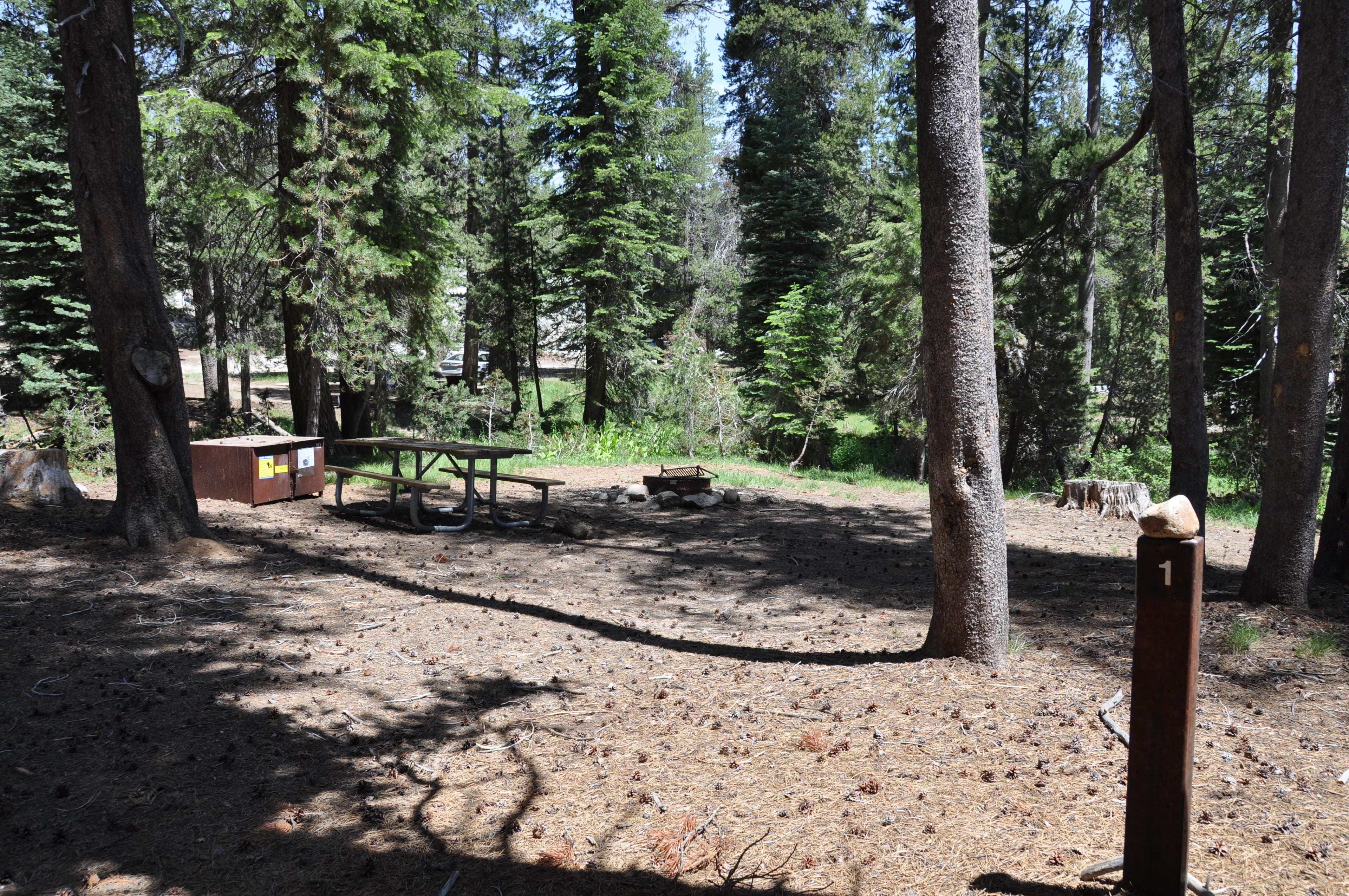 Yosemite Creek Campground