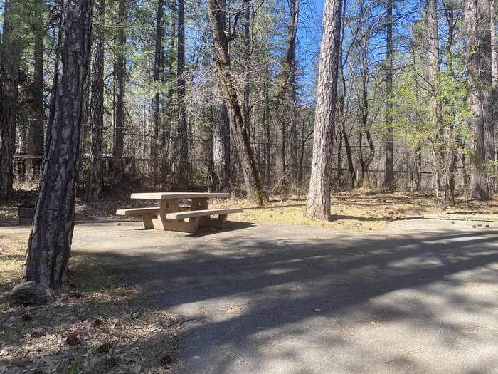 A photo of facility LAKESHORE EAST with Picnic Table, Fire Pit, Shade, Tent Pad