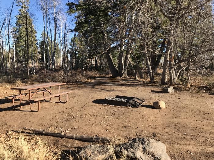 Picnic table and fire ring inside a dirt campsite surrounded by forest.