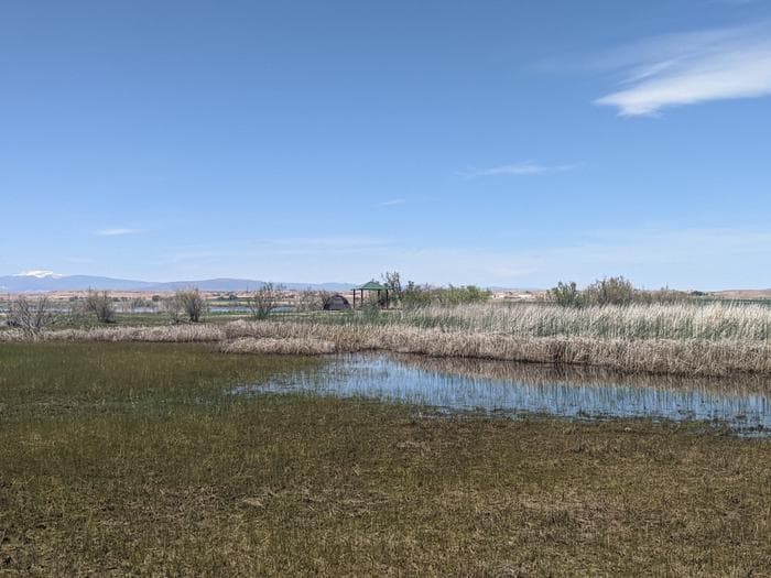 Spring at Pelican Lake