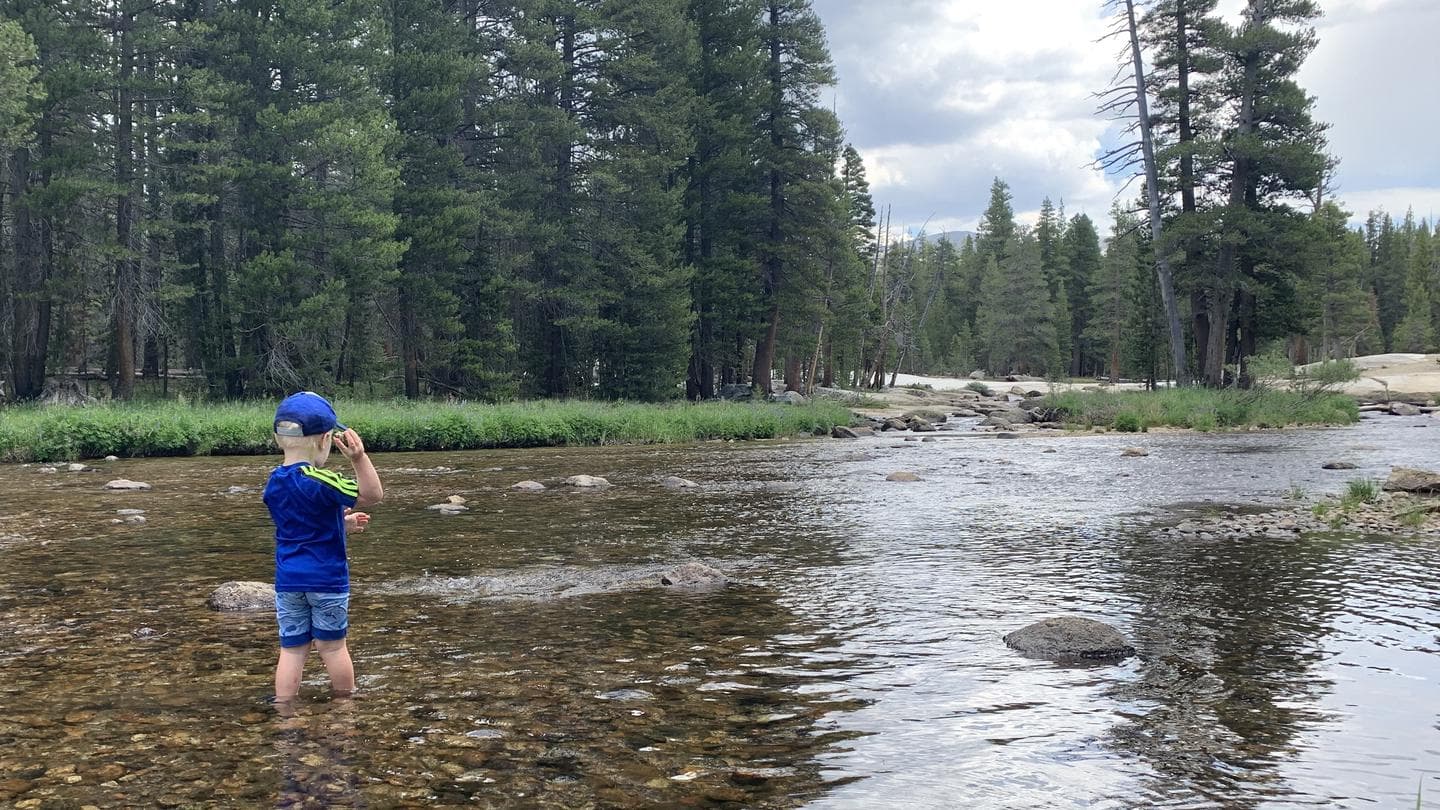Kid throwing rock in Tuolumne River