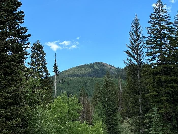 Redman Campground landscape