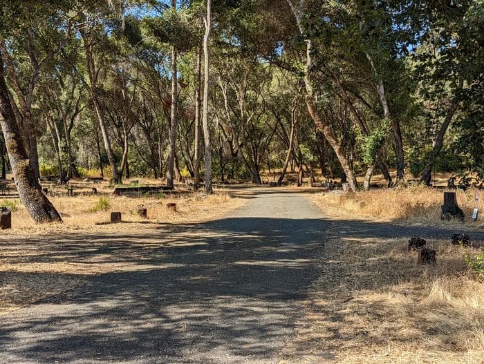 Bushay Campground 50s loop