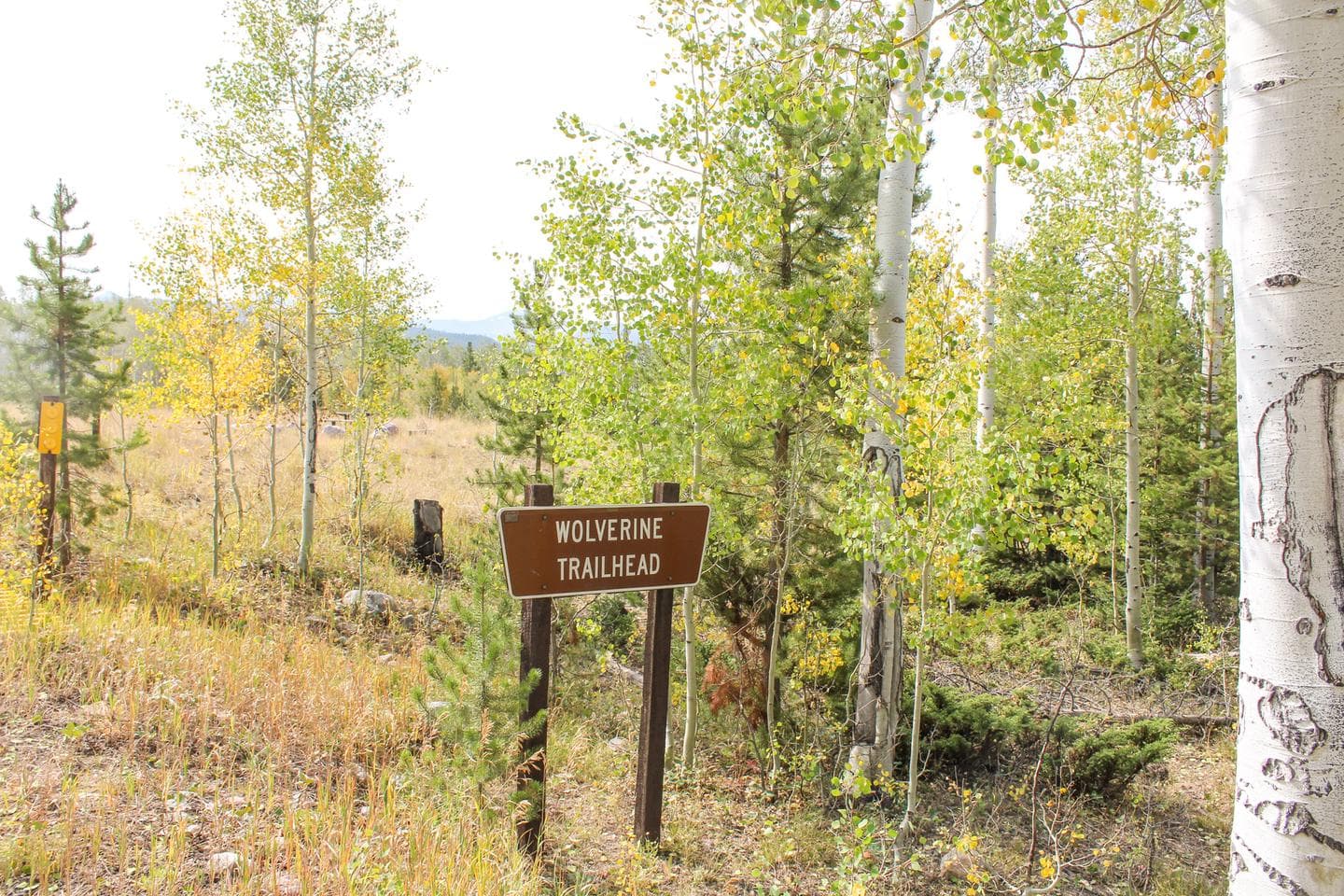 Wolverine Trailhead Sign