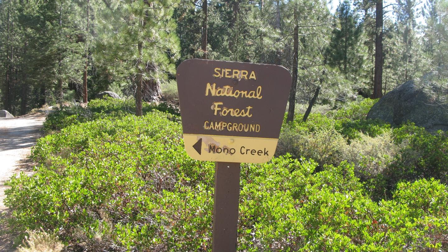 Mono Creek Campground, Sierra National Forest